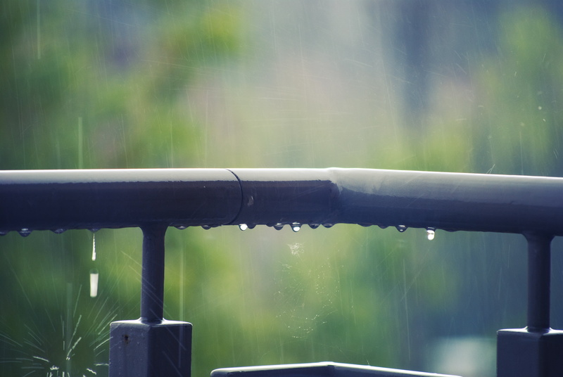 green color, balustrade, raindrop, focus on foreground, drop, plant, railing, pipe - tube, monsoon, no people, water, rain, outdoors, rainy season, grass