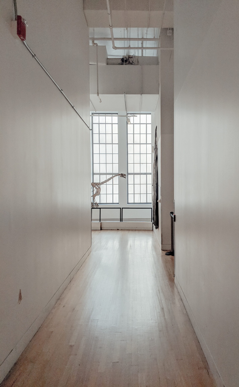 interior, architecture, wooden, window, hardwood floor, arcade, hallway, musem, wood, housing, loft, wall, lighting equipment, ceiling, apartment, built structure