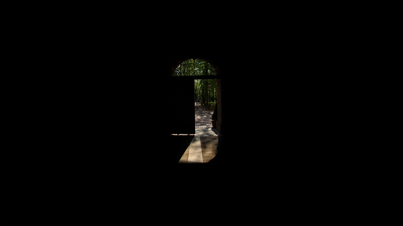 trees, still life, studio shot, black background, sharp, symmetry, door, copy space, simplicity, reflection, cut out, single object, spotlight, nature