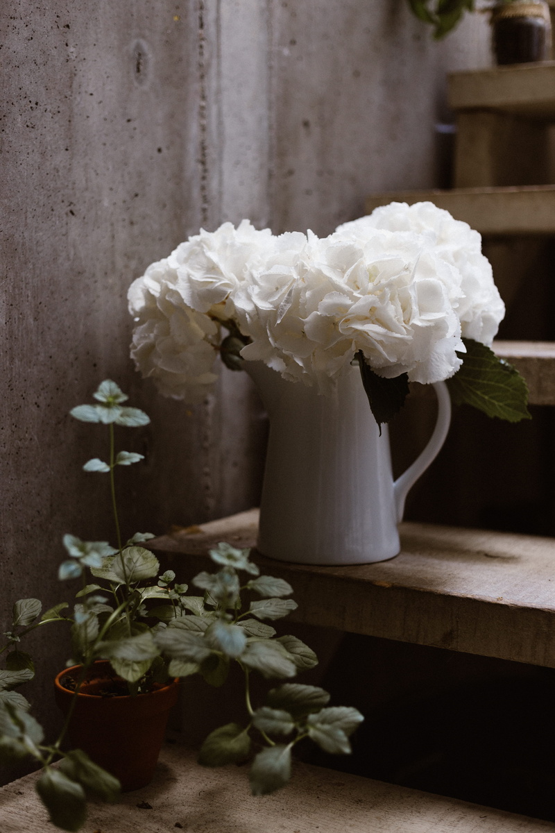simple, design, plant, arrangement, simplicity, step, decoration, no People, vase, blank, 5K, summer, wood - Material, modern, rose - Flower, wedding