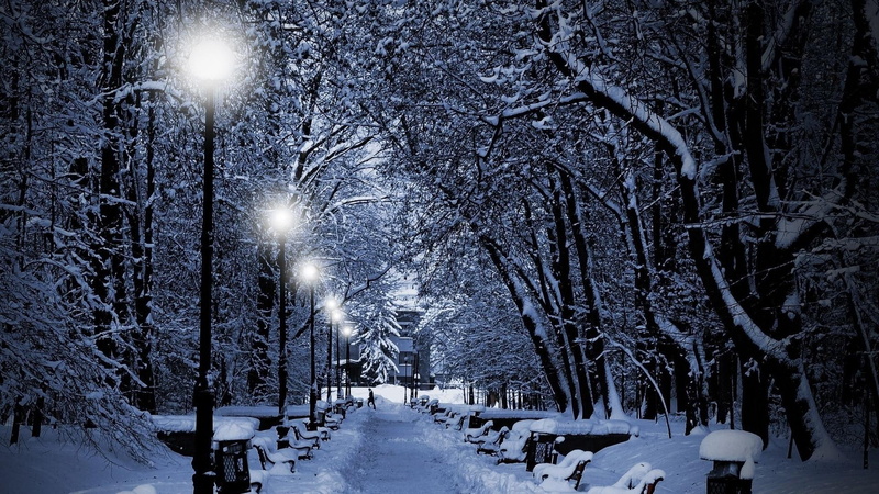 pritty, christmas, trees, winter, sweet, nature, snow, cute, benches, houses, beauty, person, snowy, street lights, 1080P