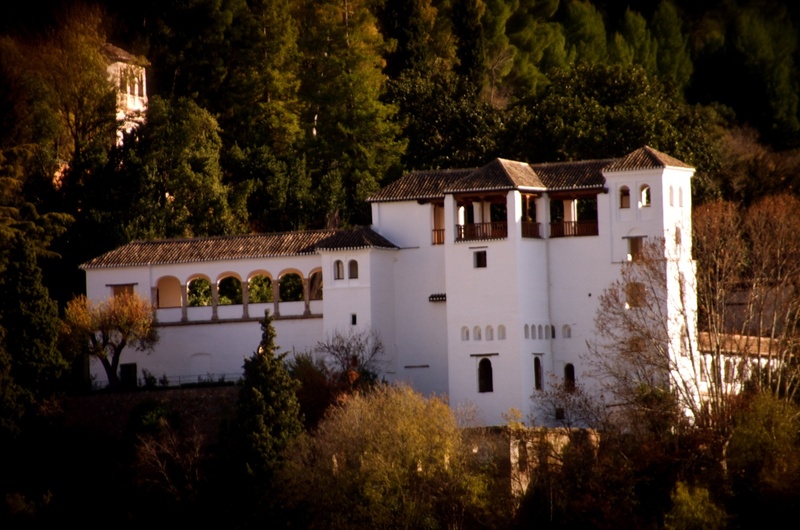 palace, no people, night, wealth, 1080P, window, water, growth, plant, fortress, outdoors, architecture, nature, house, andalusia, expensive, forest, building exterior