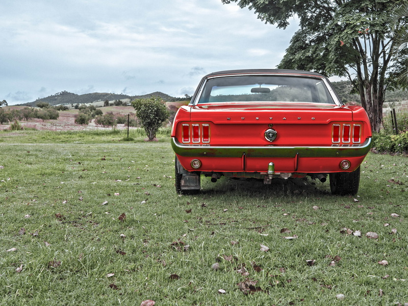 red, daytime, land, landscape, motor vehicle, car, cabriolet, classic, parked, american, land vehicle, sky, model, no people, ford, vehicle, green, dare