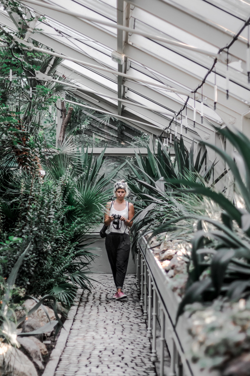 palm tree, clothing, one person, beograd, pavement, real people, built structure, bush, grey, casual clothing, pathway, serbia, path, female, architecture