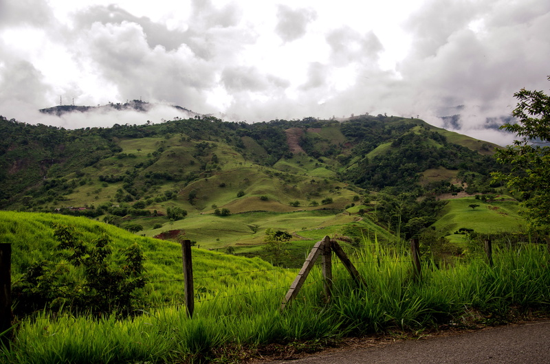 growth, tranquil scene, green, coffee cultivation, Zone, coffee zone, Mountains, green color, landscape, Colombia, agriculture, cloud - sky, antioquia