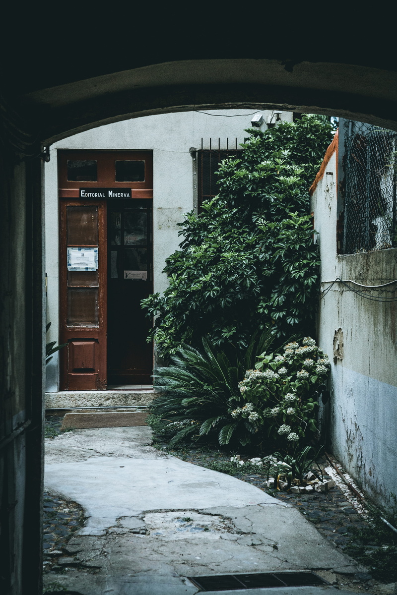 no people, near, growth, daytime, building exterior, entrance, open, nature, petaled, garage, built structure, white, city, building, wall, residential district