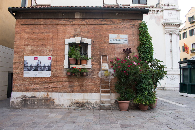communication, path, jar, vase, pot, window, built structure, potted plant, no people, Venice, 5K, walkway, wall, Building, building exterior, architecture