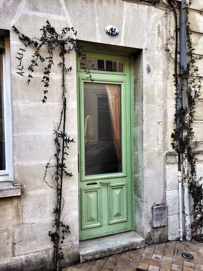 building, curtain, architecture, tree, wall, wall - building feature, jar, ivy, flagstone, planter, old, shutter, vase, residential district, security