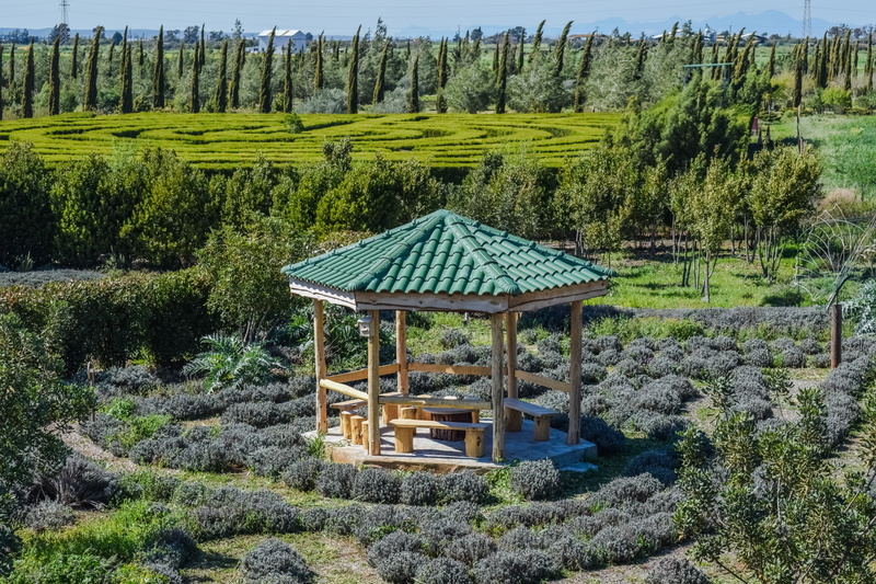 growth, architecture, built structure, 5K, outdoors, plantation, scenery, landscape, environment, green color, scenics - nature, day, tree, kiosk, cyherbia
