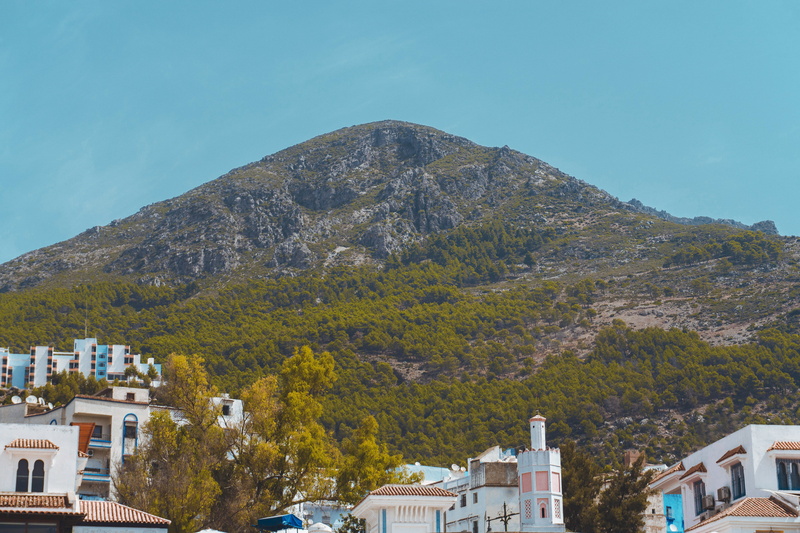 no people, chefchaouen, green, tree, mountain range, land, scenics - nature, built structure, residential district, travel, #forest, morocco, 4K, traveling