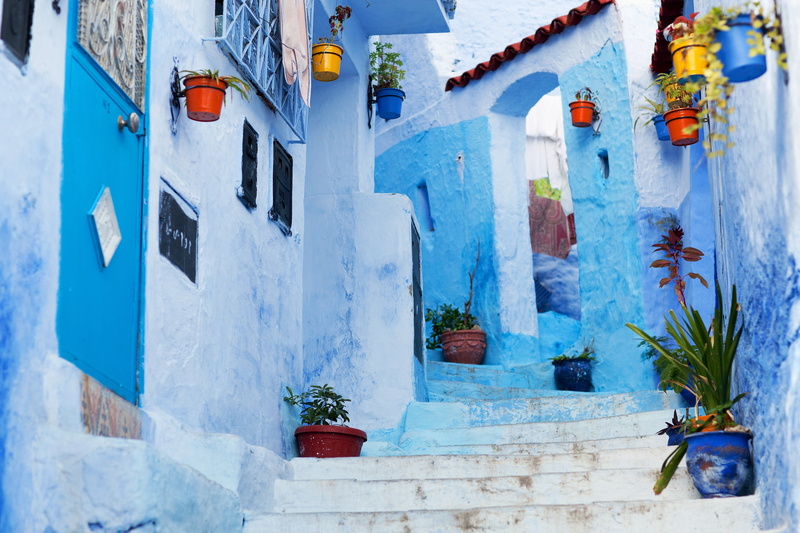 old town, house, white, blue, pathway, wall, building exterior, nature, flower, wall - building feature, flower pot, chefchaouen, building, architecture