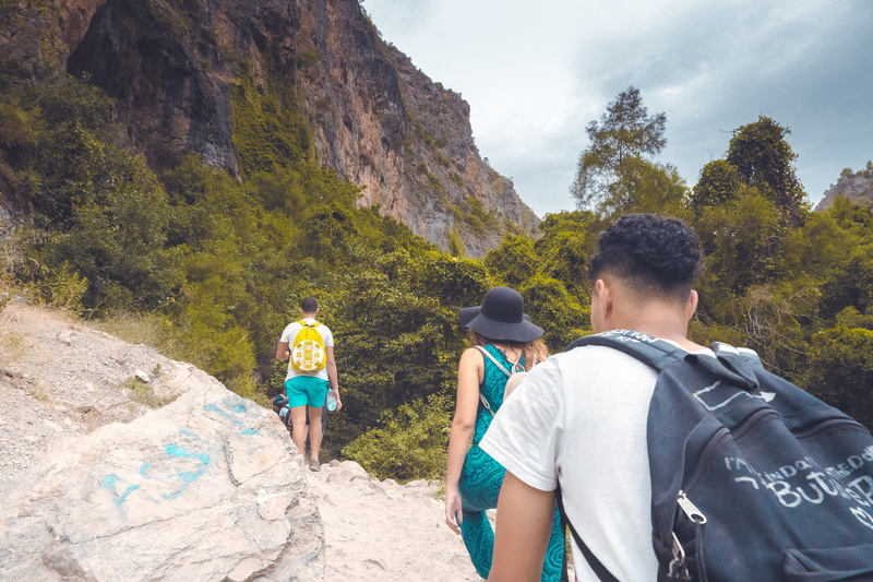 tree, dchar taourarte, outdoors, boys, rear view, solid, women, park, hiking, #forest, rock, men, nature, activity, real people, people, morocco, adventure