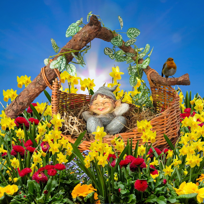 bird, ivy, front view, holiday, osterglocken, flowering plant, fragility, enjoy, relaxation, flower, good night, Spring, flower head, sleep, basket, human representation