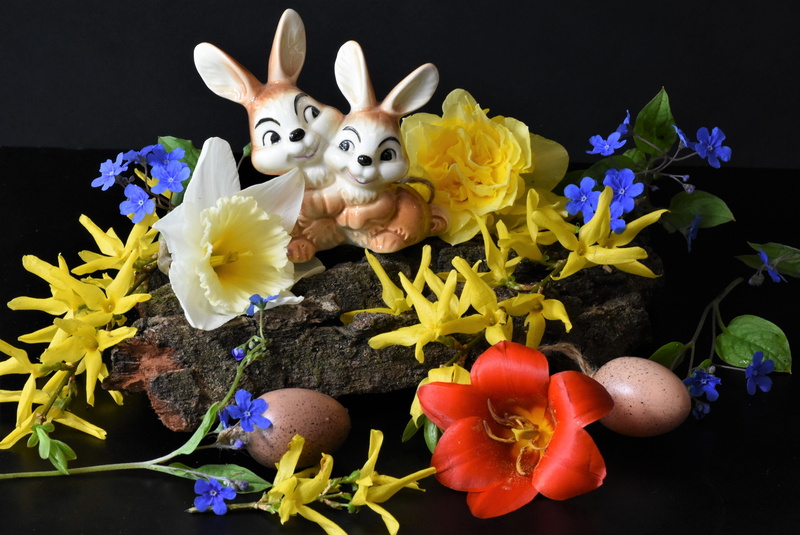 bloom, arrangement, celebration, season, close up, spring, gift, fragility, flowers, 4K, animal, representation, rabbit - animal, freshness, no people