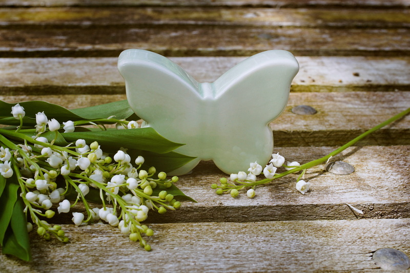 white color, day, fragrant, thank you, romance, schnittblume, celebration, close-up, creativity, fragrance, green color, postcard, white, flower head, plant