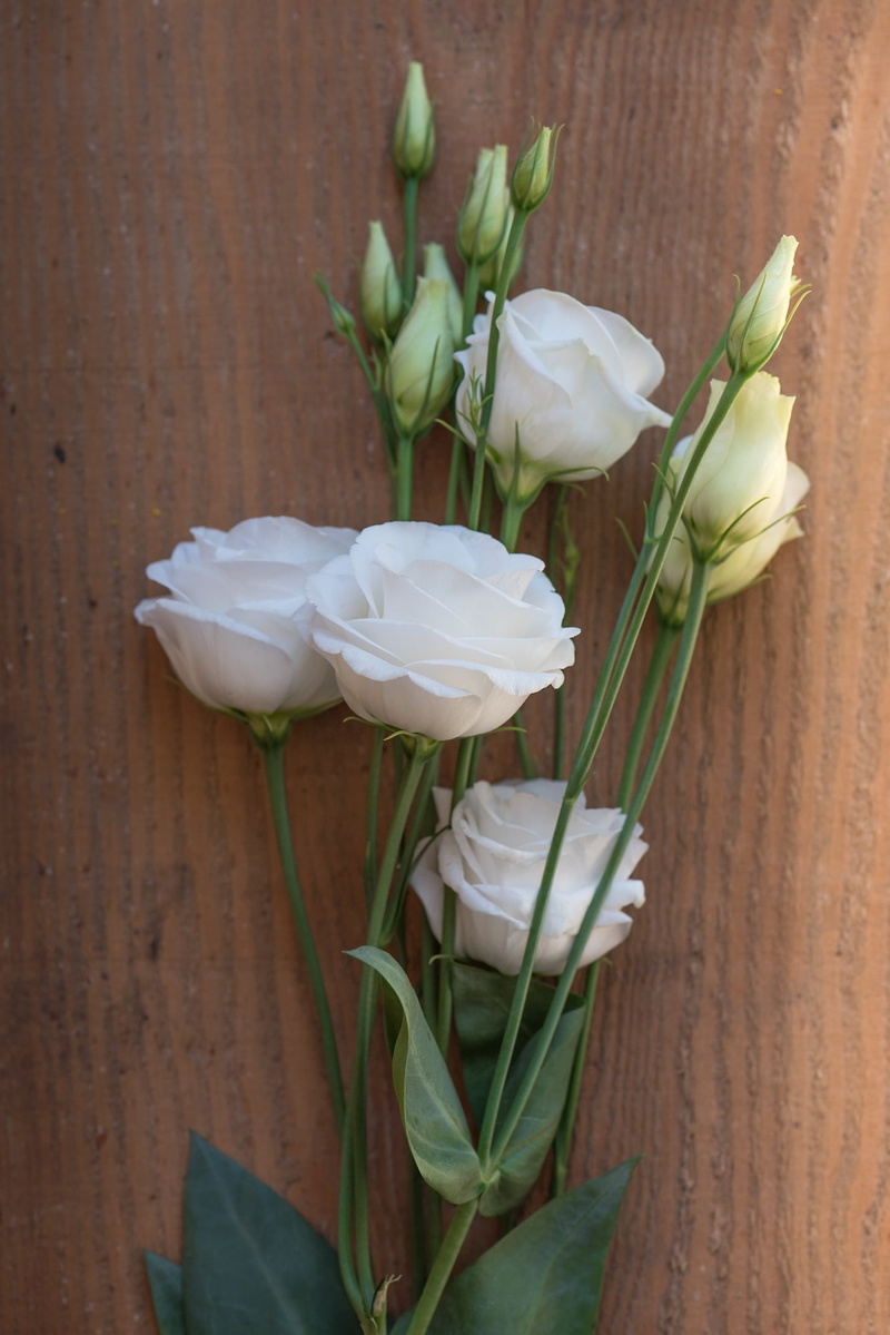 wood, lisianthus, nature, schnittblume, tulip, 1080P, beauty in nature, flower arrangement, bouquet, decoration, plant part, leaf, sunlight, plant stem
