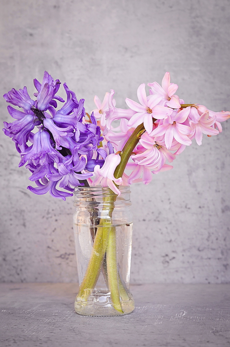 airtight, fragrant, close, scented plant, plant, spring flower, table, pink hyacinth, flower head, glass - material, bottle, deco, close-up, vulnerability