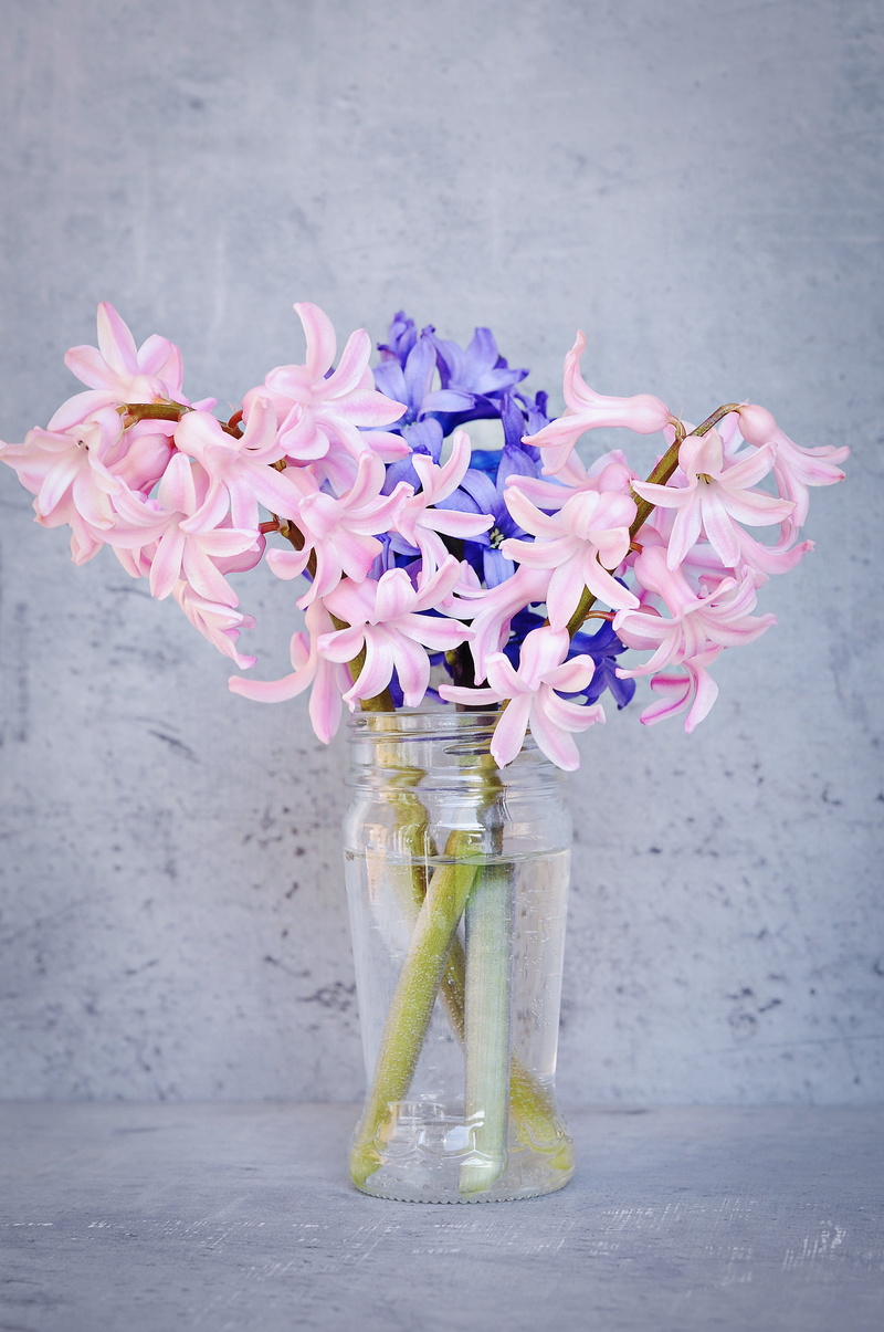 fragrant, blue flower, table, container, close, pink flowers, pink, airtight, plant, close-up, jar, petal, bunch of flowers, hyacinth, flower arrangement