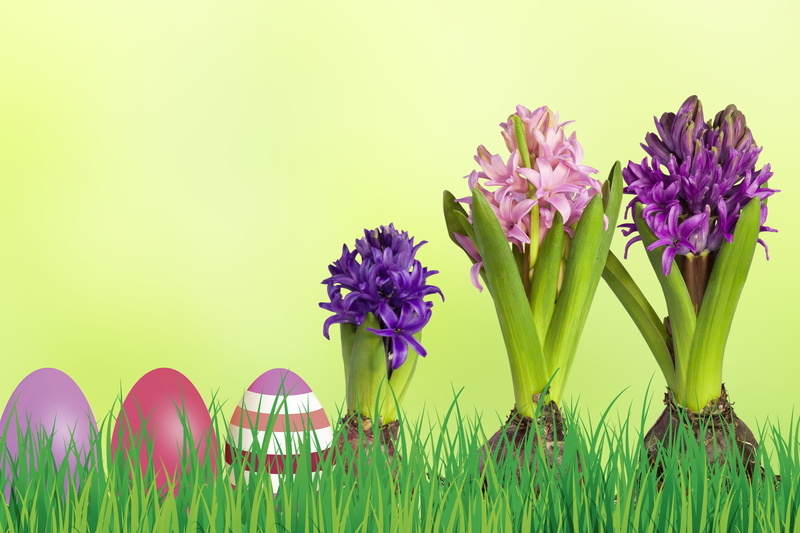 purple, easter eggs, freshness, no people, beauty in nature, land, pink, colorful, flowering plant, multi colored, field, fragility, violet, flower arrangement