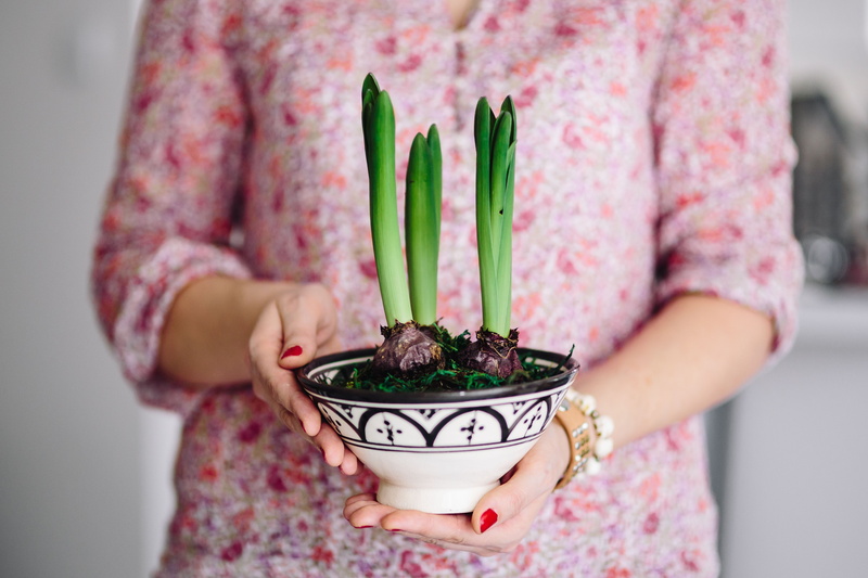 showing, one Person, vegetable, child, females, floral pattern, seedling, adult, adults only, hand, flower Pot, plant, freshness, people, nature, Woman