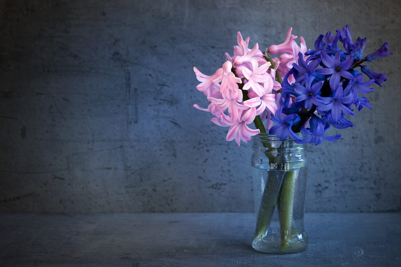 glass, flower arrangement, blue, close, no people, fragrant, wall - building feature, petaled, inside, pink color, container, flower, flowers photography