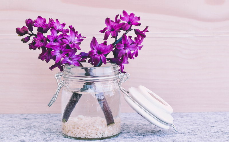 Vase, decorativeglass, fragrantflower, Pink, container, Bloom, table, transparent, plant, pink color, flower arrangement, Flower, still life, glass - material