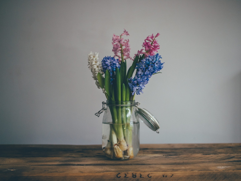 flowers, bunch of flowers, jar, plant, fragility, bouquet, flower, glass - material, wood - material, indoors, no people, flower head, vulnerability, table