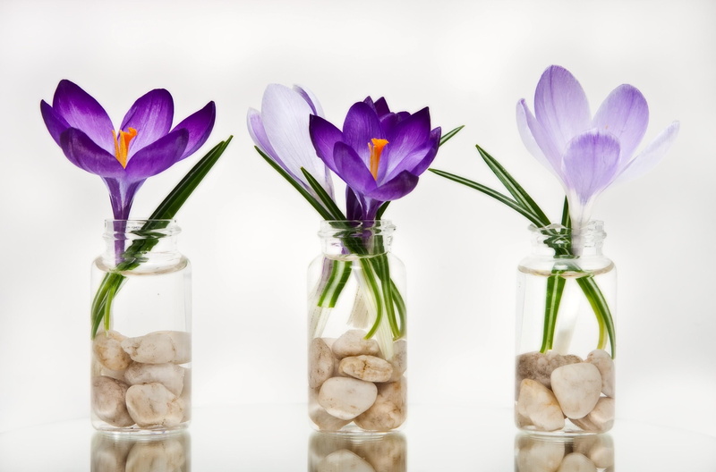 glass - Material, blossom, bouquet, plant, yellow, season, crocus, gift, nature, hyacinth, fragility, multi Colored, flower, inflorescence, banks, vulnerability