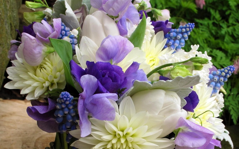 leaf, growth, gift, no people, fragility, flower, decoration, romance, summer, inflorescence, bouquet, flower Head, freshness, outdoors, flower arrangement