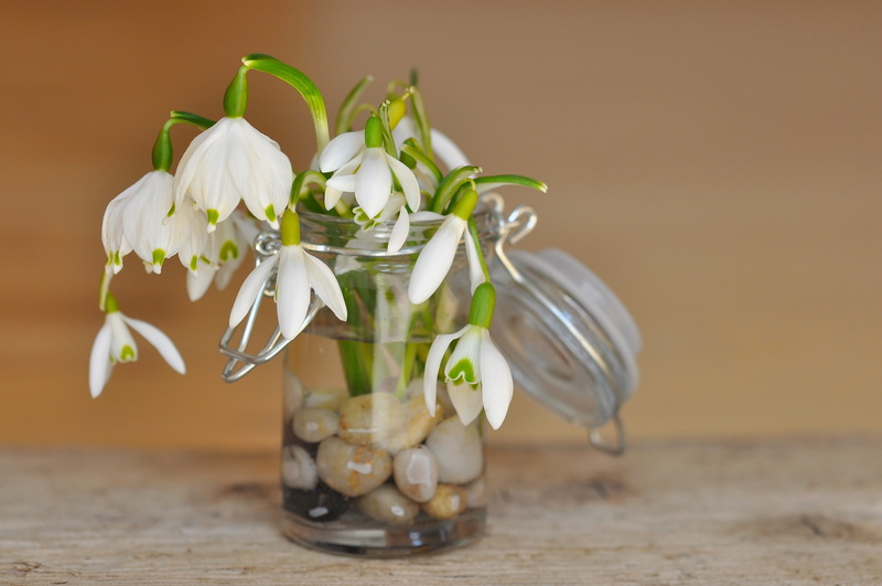 snowdrop, white color, bouquet, vulnerability, white, decorative, bloom, beauty in nature, flower head, filled, deco, water, airtight, vase, petal, still life