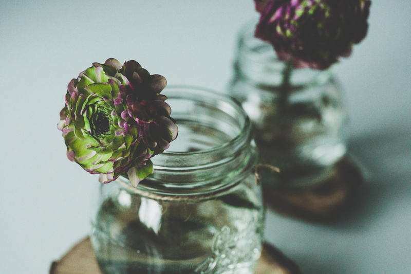 flowering plant, table, glass - Material, freshness, mason, flower, no people, vulnerability, nature, two, jars, indoors, bank, beauty in nature, airtight