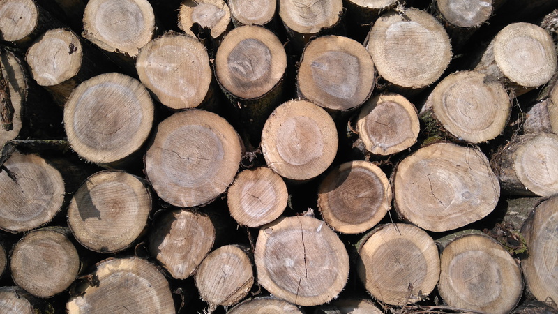 firewood, timber, pattern, stack, lumber industry, stake, pore, fuel and power generation, chopped, full frame, outdoors, wood - material, deforestation