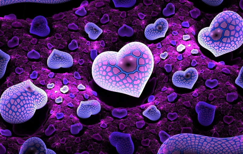 white, animal, still life, blue, illustration, heart shape, life, close-up, backgrounds, purple, pink color, abstract, stone - object, biology, sea, nature