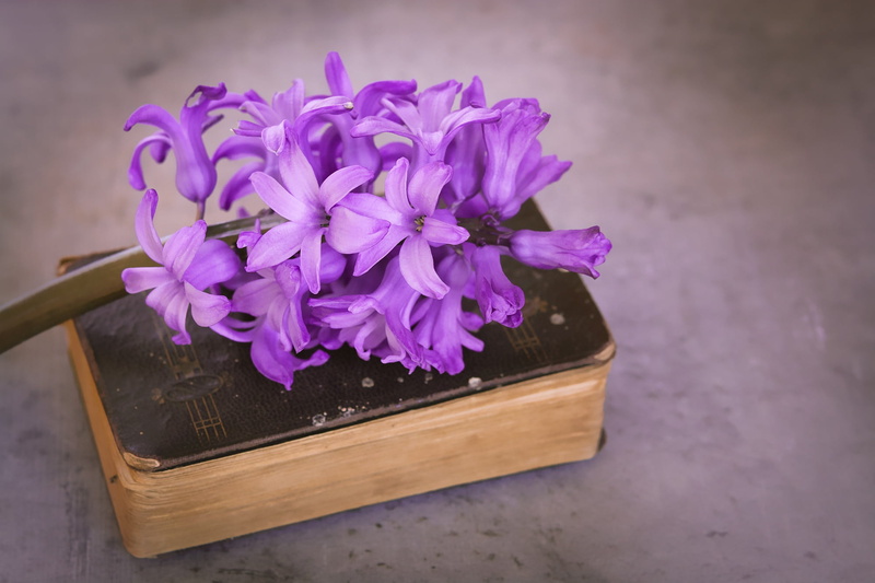 brown, focus on foreground, old, no people, fragrant flower, purple, bouquet, pink, close, pink flower, fragility, fragrant, table, high angle view, freshness