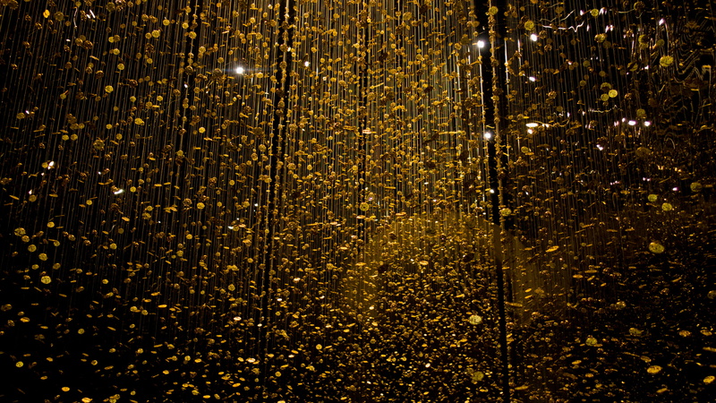 indoors, food and drink, close-up, money, gold colored, gold, golden, lights, roma, chiostro del bramante, textured, art, leaves, installment