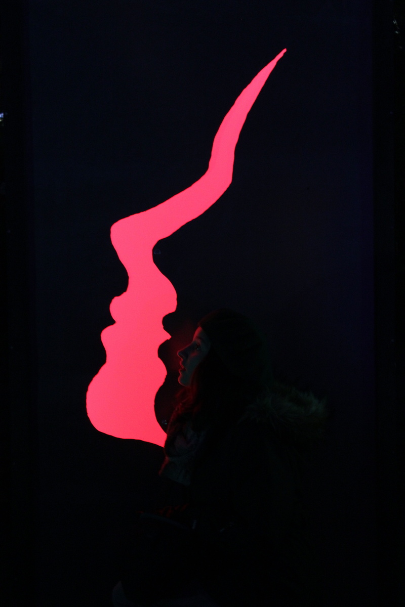 real people, Illumination, adults only, human face, indoors, adult, light installation, side view, copy space, dark, skull, human body part, leisure activity