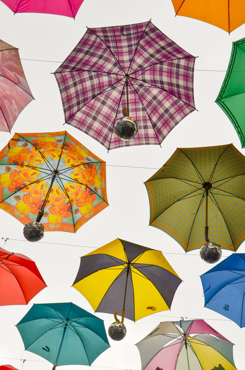 april weather, choice, funny, no people, group, rainy weather, roof, pattern, safety, variation, shade tree, stretched, 4K, security, creativity, colorful