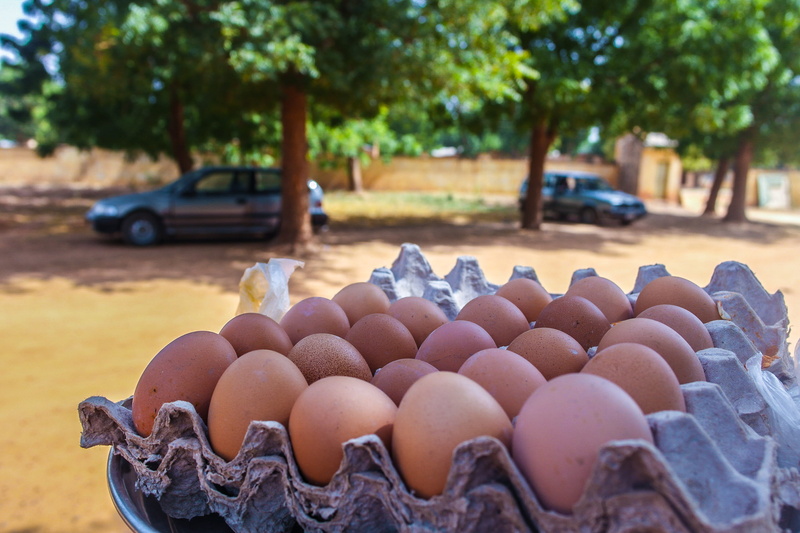 tree, car, person, transportation, egg carton, focus on foreground, healthy eating, plywood, automobile, wood, handrail, wellbeing, 2K, produce, mode of transportation