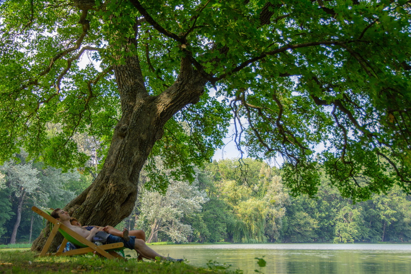 beauty in nature, lying, plant, landscape, outdoors, relaxation, full length, body, water, folding, near, green color, day, man, summer, trunk, in the green