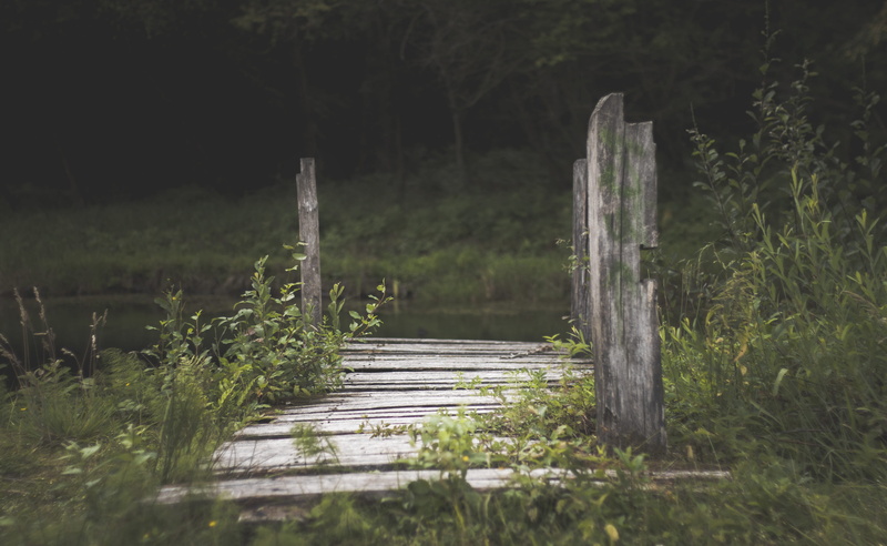 forest, scenic, wooden deck, water, scenics - nature, dock, near, outdoors, grass, woods, body, nature, surrounded, 4K, daylight, green color, day, non-urban scene