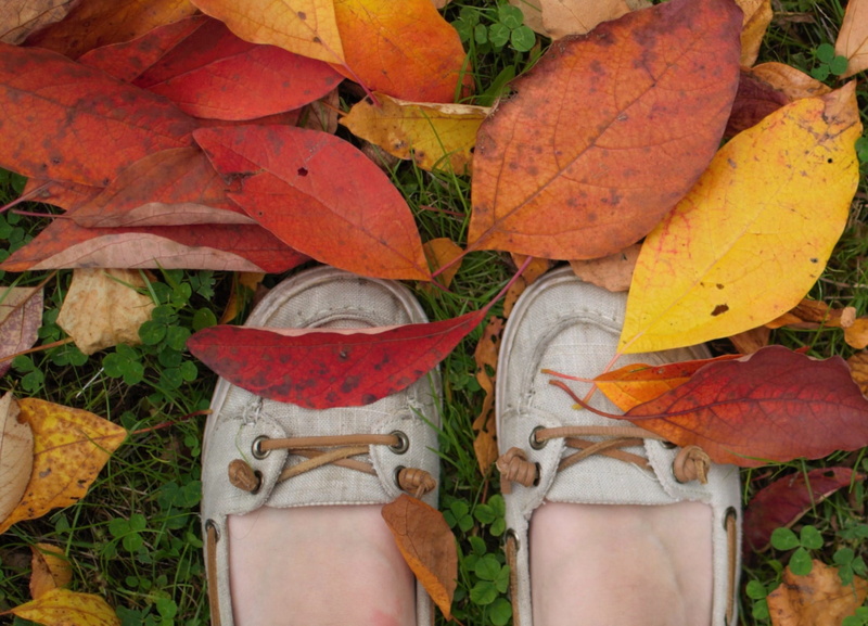 nikon, leaf, plant part, grass, change, changing, yellow, tree, shoe, united states, human foot, green, mogadore, wingfoot lake state park, deck shoes