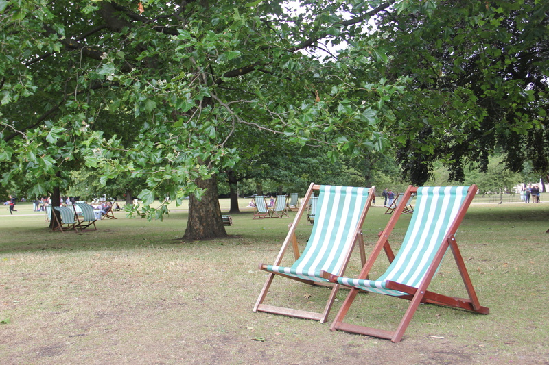 day, empty, deck chair, foldable, 5K, chair, seats, park - man made space, outdoor, nature, absence, no people, rest, tree, outdoors, growth, plant, land