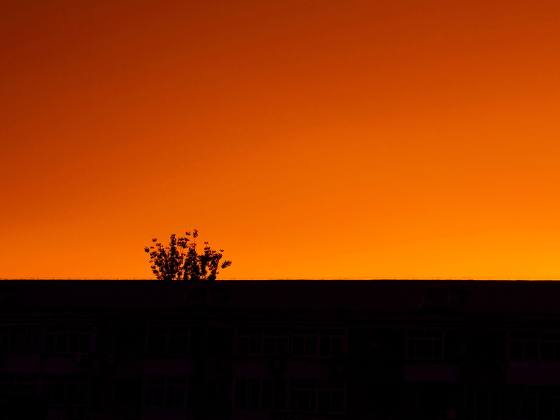 scenics - nature, orange, rothko, plant, ground, architecture, beauty in nature, black, tranquility, built structure, warm, no people, sky, horizon, landscape