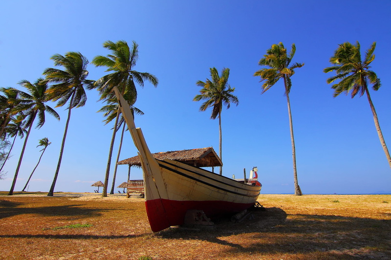 coastline, travel Locations, Boat, beach, Palm Trees, idyllic, trees, day, nautical Vessel, vacations, land, nature, blue, sky, no People, tropical Climate