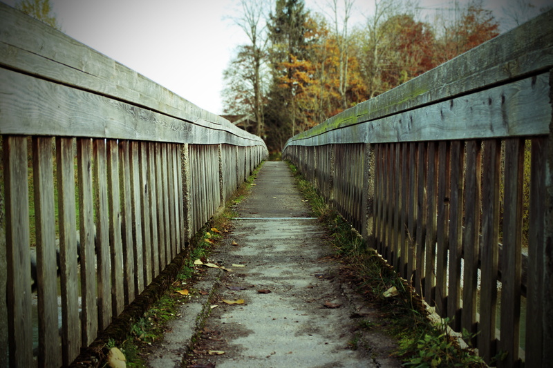 mystical, long, vanishing point, away, outdoors, alternative, dirt, bridge, brown, day, choice, footpath, ladder, wood - material, decision, direction