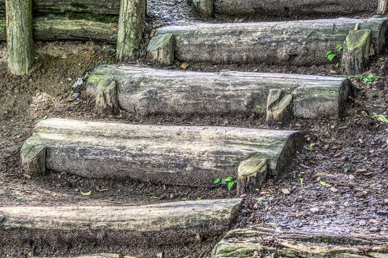 bark, wood stairs, uncertain, tree, playground, top, wall - building feature, growth, old, architecture, stair step, plant, solid, close up, staircase