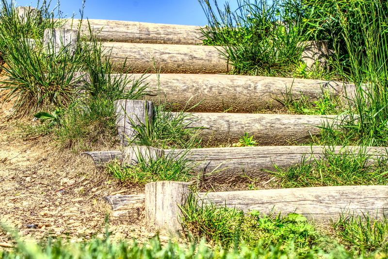 sky, water, staircase, high dynamic range, 5K, tree, stair step, playground, architecture, green color, sea, wood - material, dune, hdr, plant, gradually