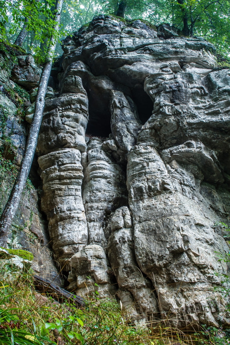 input, rock, cliff, rock formation, blue, mystical, slope, 1080P, threatening, mysterious, tree, land, cold, rock - object, art and craft, eyes, forest