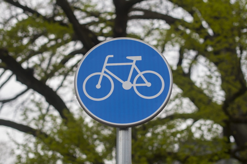 geometric shape, tree, 2K, guidance, communication, cycling, icon, outdoors, close-up, note, blue, bicycle path, sign, nature, design, focus on foreground