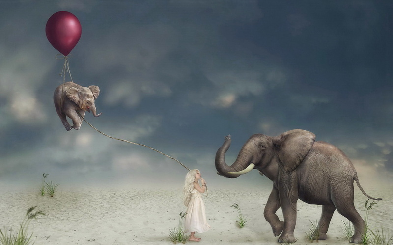 digital composite, fun, no people, animals in the wild, cloud - sky, group of animals, artwork, sky, day, animals, surreal, 1080P, children, two animals